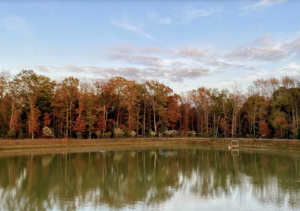 dentisti in indian trail nc